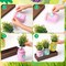 Spring Table Decoration Set Rustic Wood Tray with Artificial Colorful Flower Greenery Fake Plants Mason Jar Wooden Tag for Easter Spring Dining Table Centerpiece Supplies 11"L x 4.5"W x 2"H